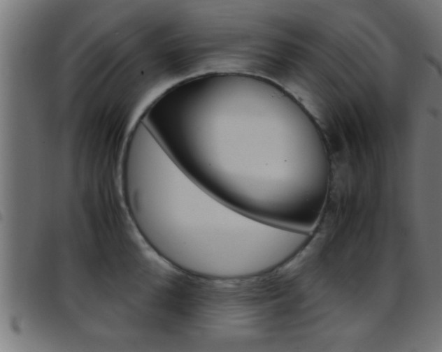 X0000097780904200803070910