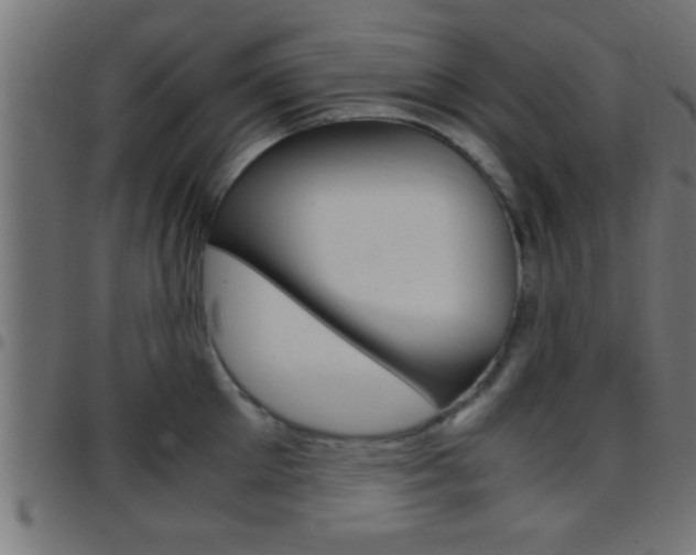 X0000097780905200803070910