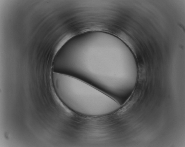 X0000097780906200803070910