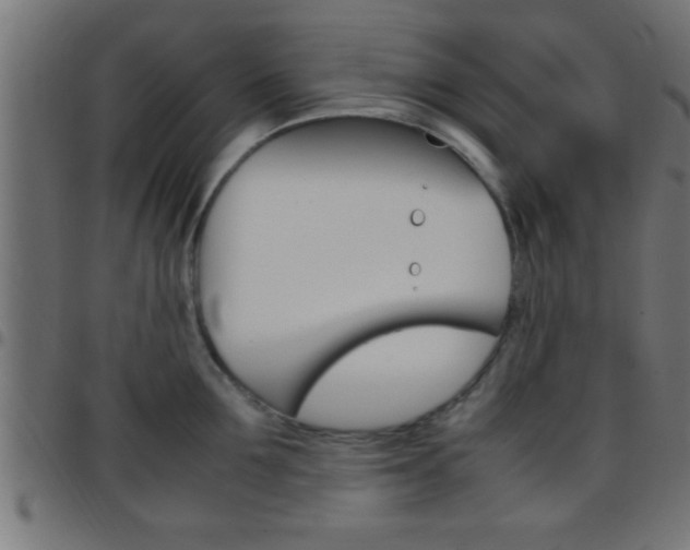 X0000097780907200803070910