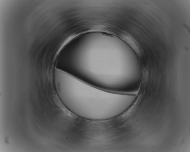 X0000097780908200803070910