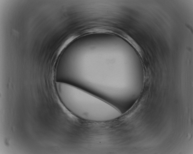 X0000097780909200803070910