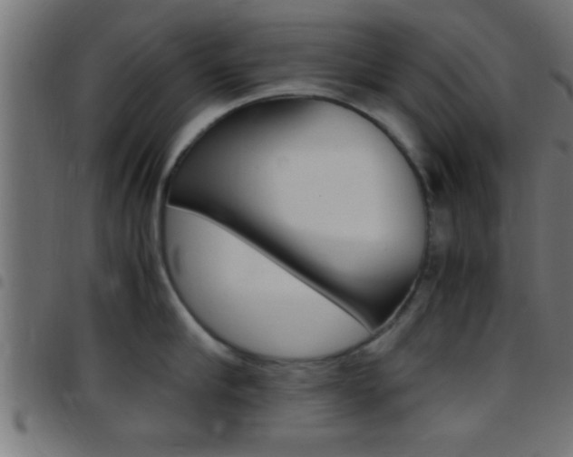 X0000097780910200803070910