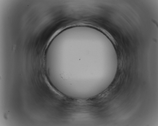 X0000097780911200803070910