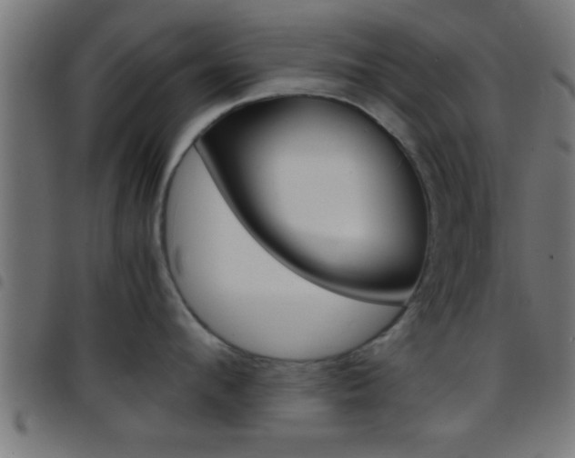 X0000097780912200803070910