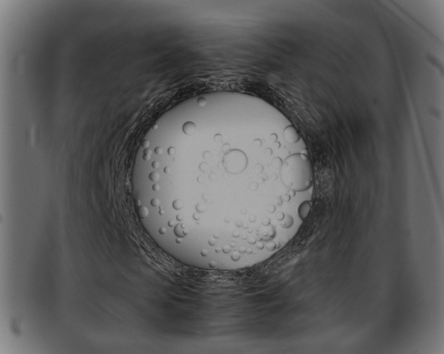 X0000097780913200803070910