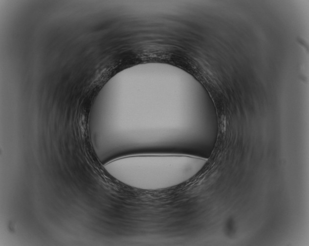 X0000097780915200803070910