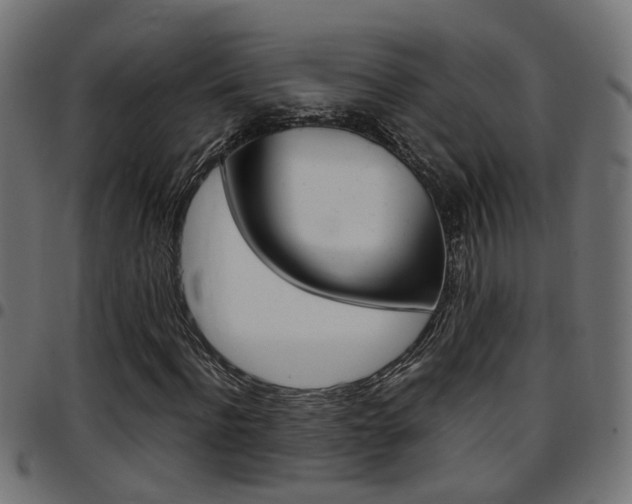 X0000097780916200803070910