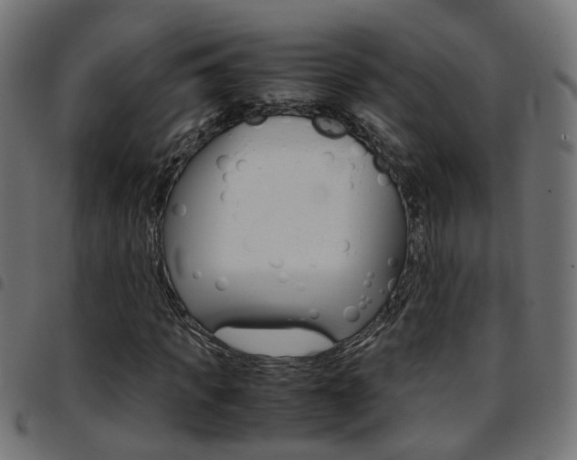 X0000097780917200803070910