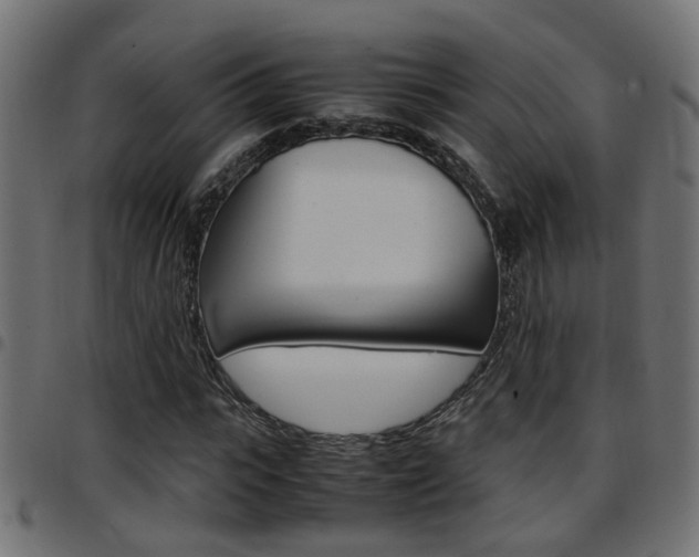 X0000097780919200803070910