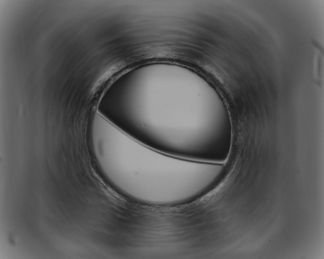 X0000097780922200803070910