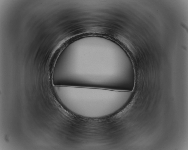 X0000097780923200803070910