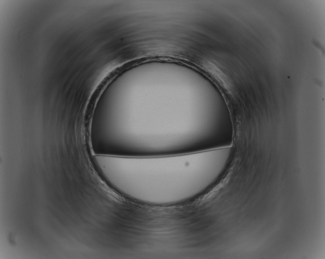 X0000097780924200803070910