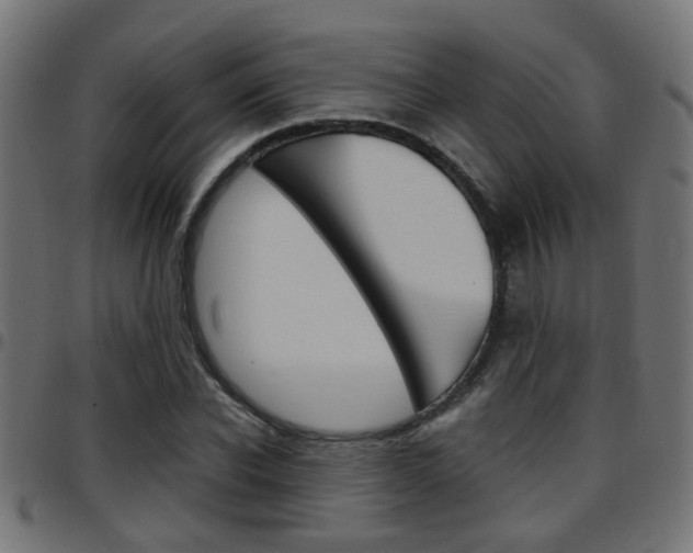 X0000097780926200803070910