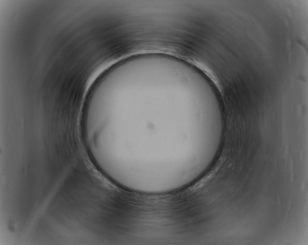 X0000097780928200803070910