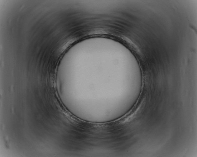 X0000097780929200803070910