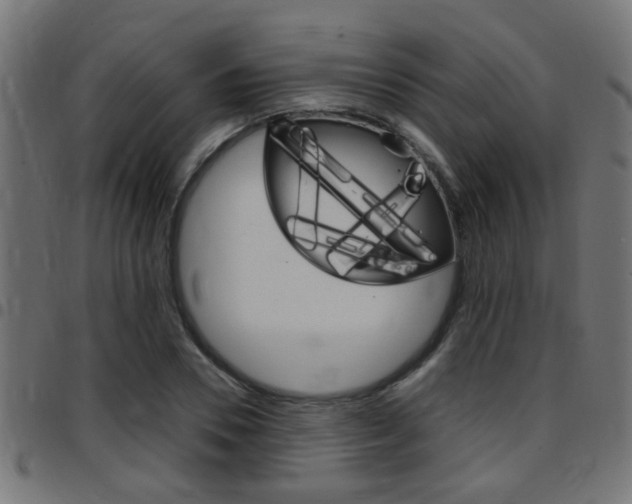 X0000097780930200803070910