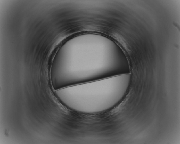 X0000097780931200803070910