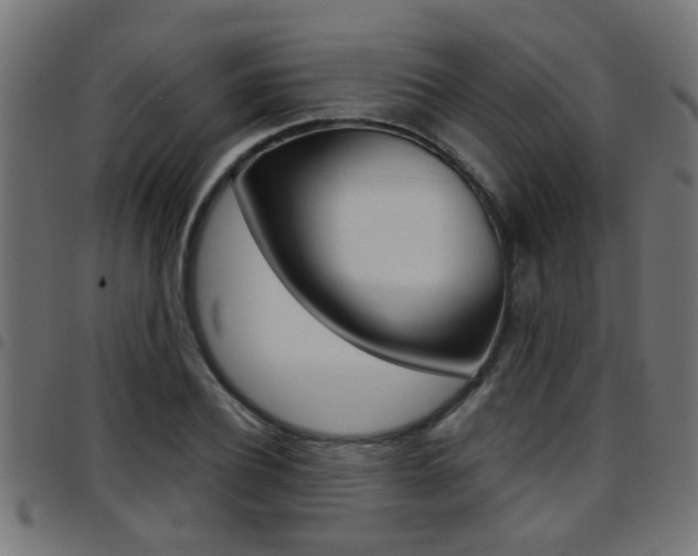 X0000097780932200803070910