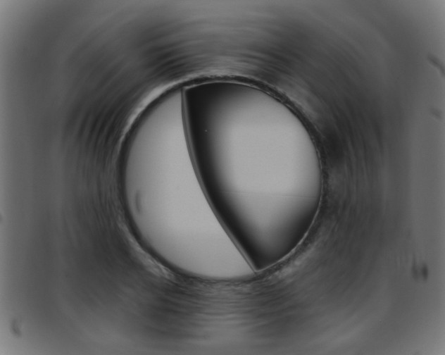 X0000097780934200803070910