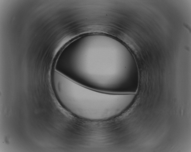 X0000097780936200803070910