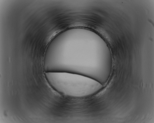 X0000097780937200803070910