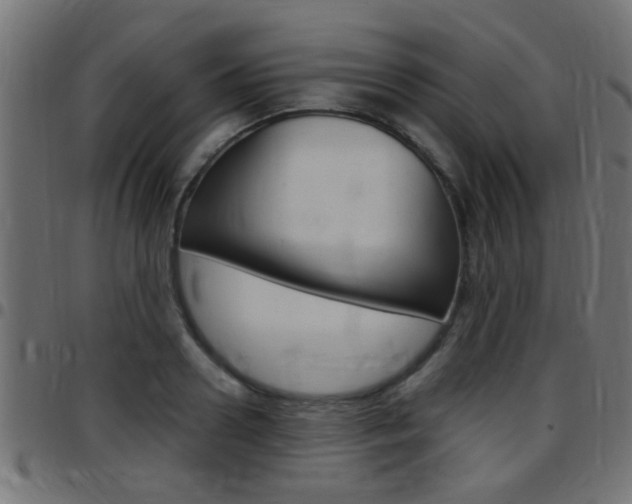 X0000097780938200803070910