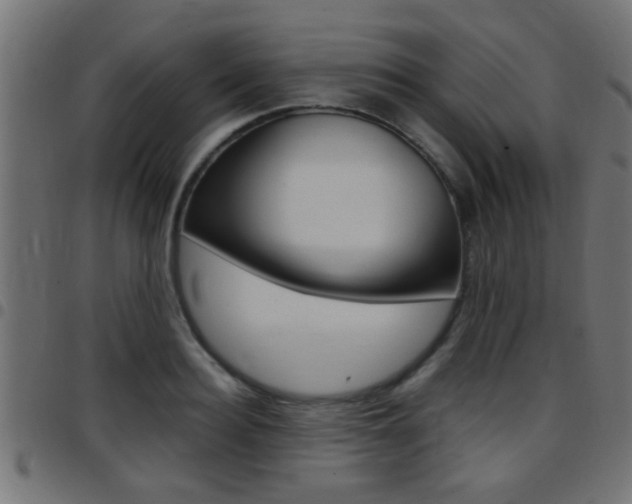 X0000097780940200803070910