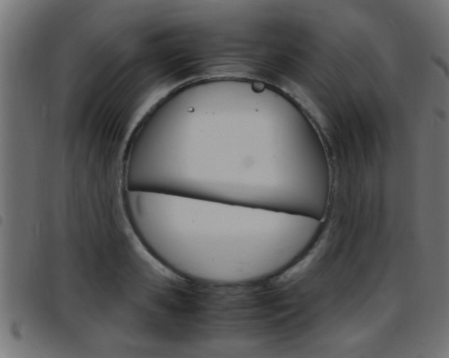 X0000097780941200803070910