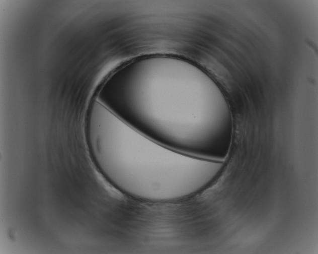 X0000097780942200803070910