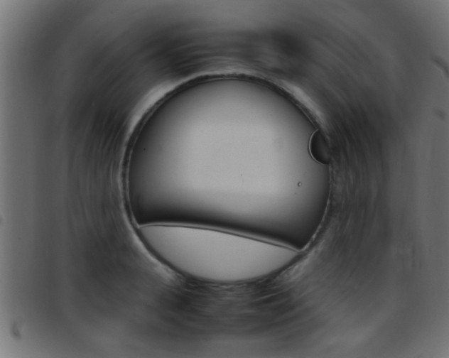 X0000097780943200803070910