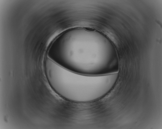 X0000097780944200803070910