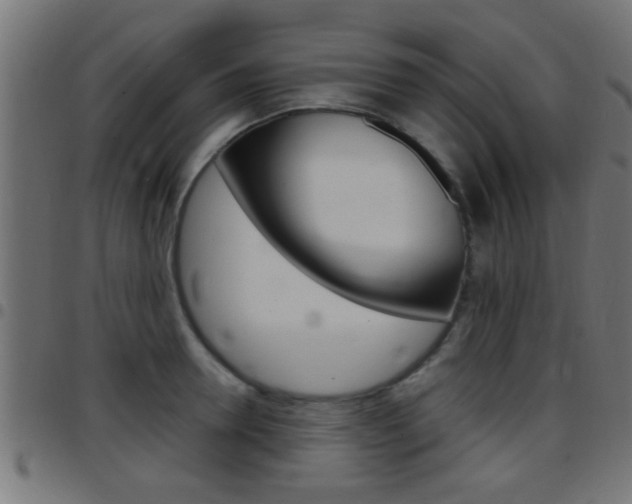 X0000097780946200803070910