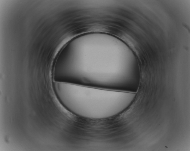 X0000097780947200803070910