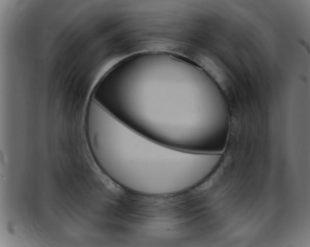 X0000097780948200803070910