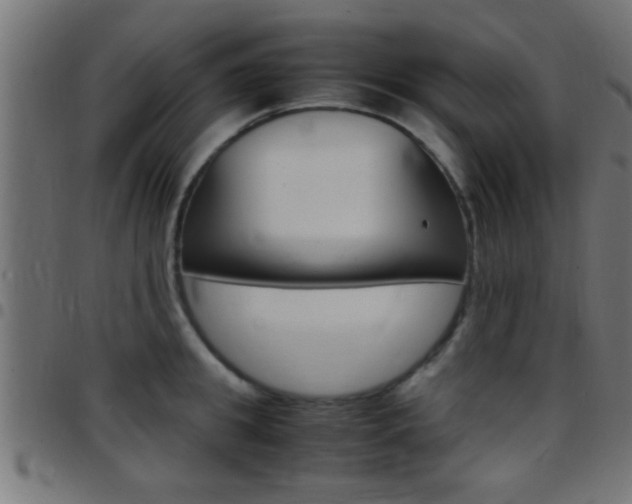 X0000097780949200803070910