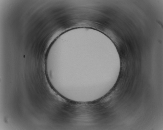 X0000097780950200803070910