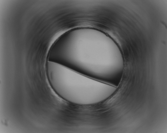 X0000097780951200803070910
