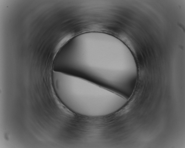 X0000097780954200803070910