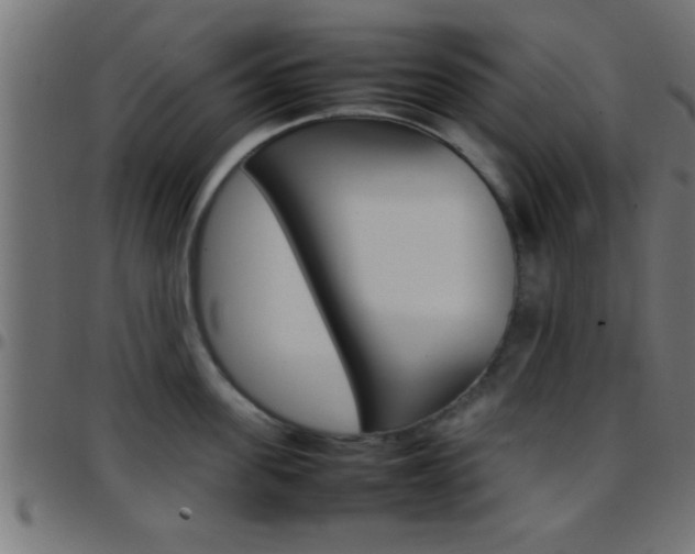 X0000097780955200803070910