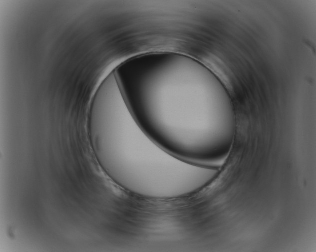 X0000097780956200803070910