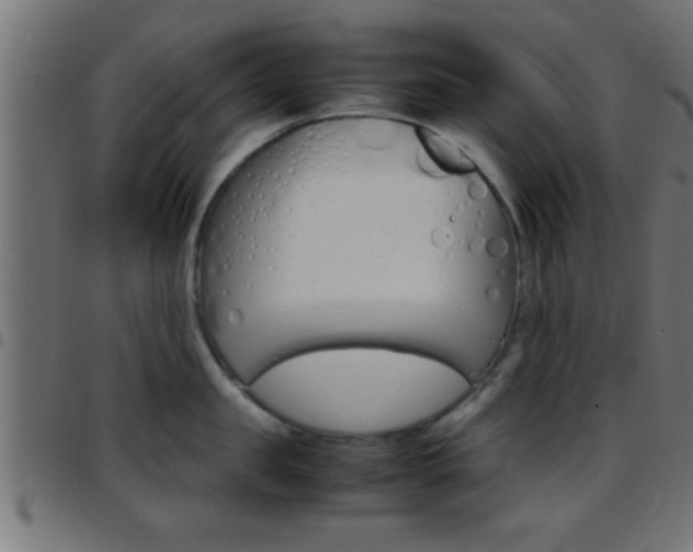 X0000097780957200803070910