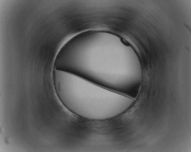 X0000097780959200803070910