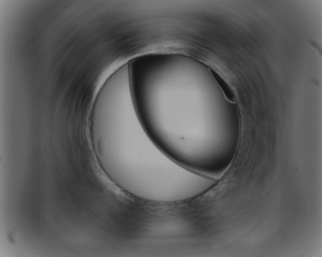 X0000097780960200803070910