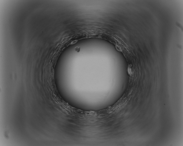 X0000097780961200803070910
