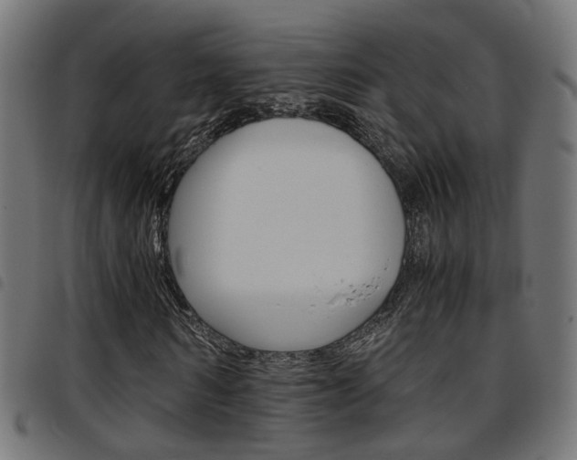 X0000097780962200803070910