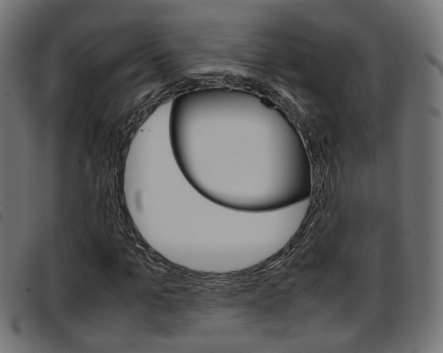X0000097780965200803070910