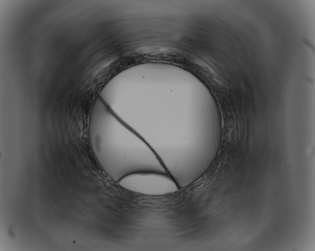X0000097780966200803070910