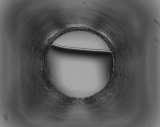 X0000097780967200803070910