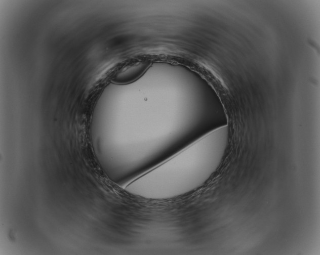 X0000097780968200803070910